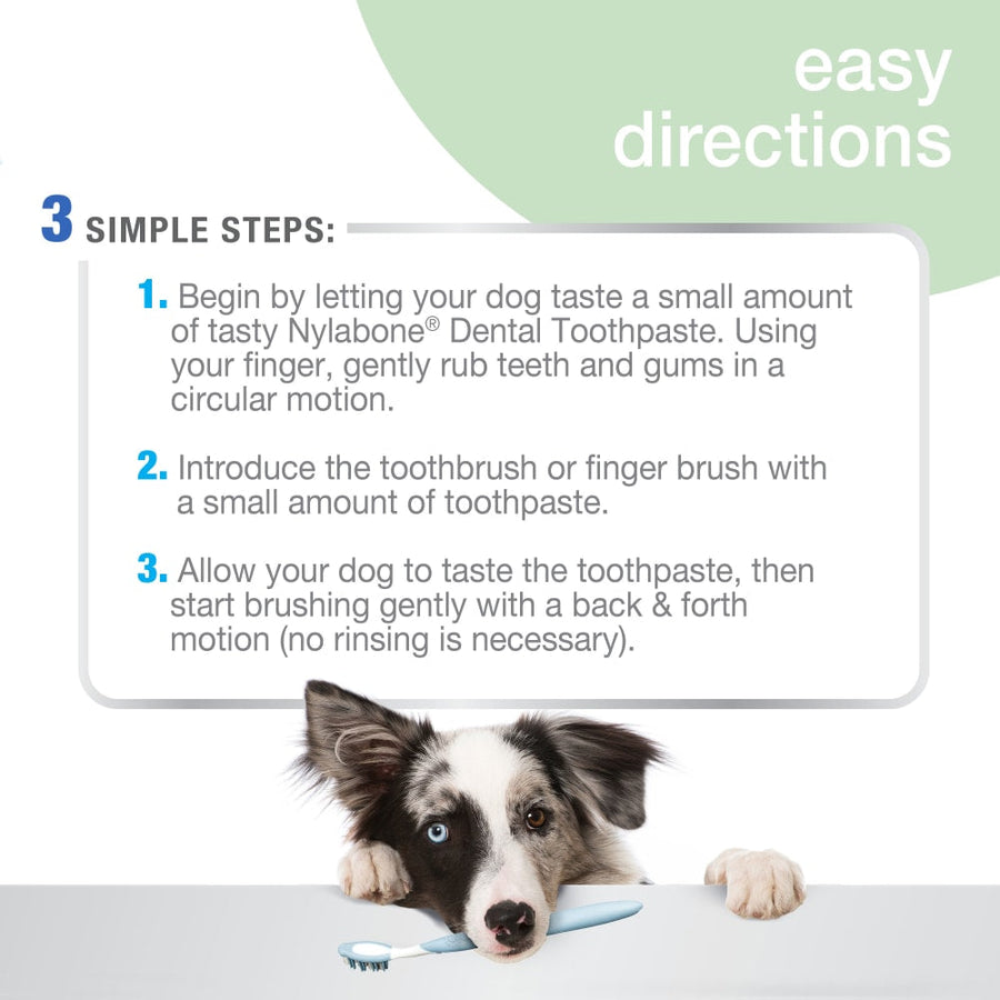 Nylabone Advanced Oral Care Natural Toothpaste
