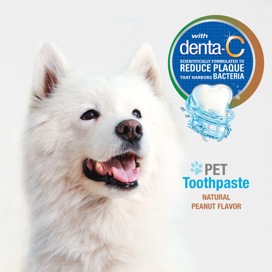 Nylabone Advanced Oral Care Natural Toothpaste