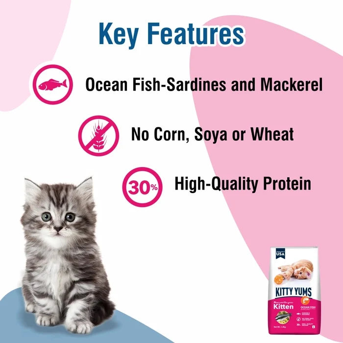 Kitty Yums Ocean Fish 1-12 Months Kitten Dry Food