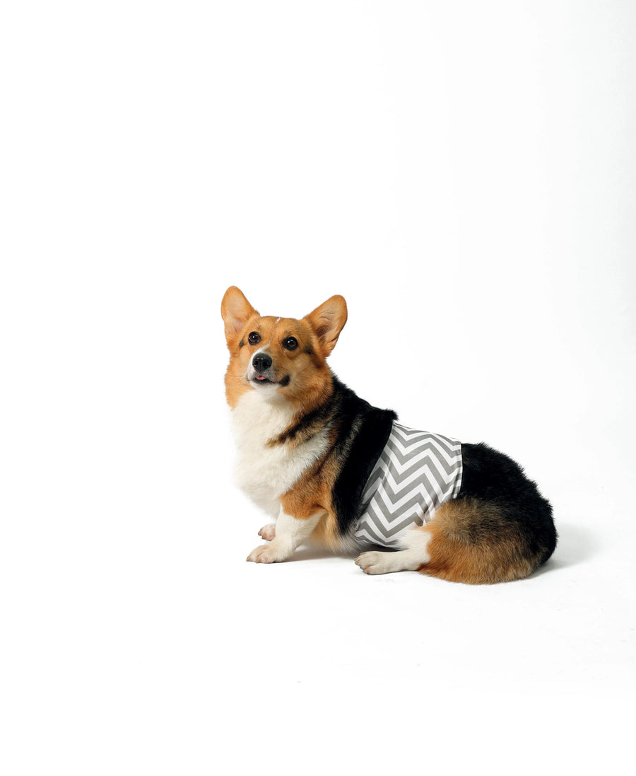 M Pets Washable Diapers for Male Dogs
