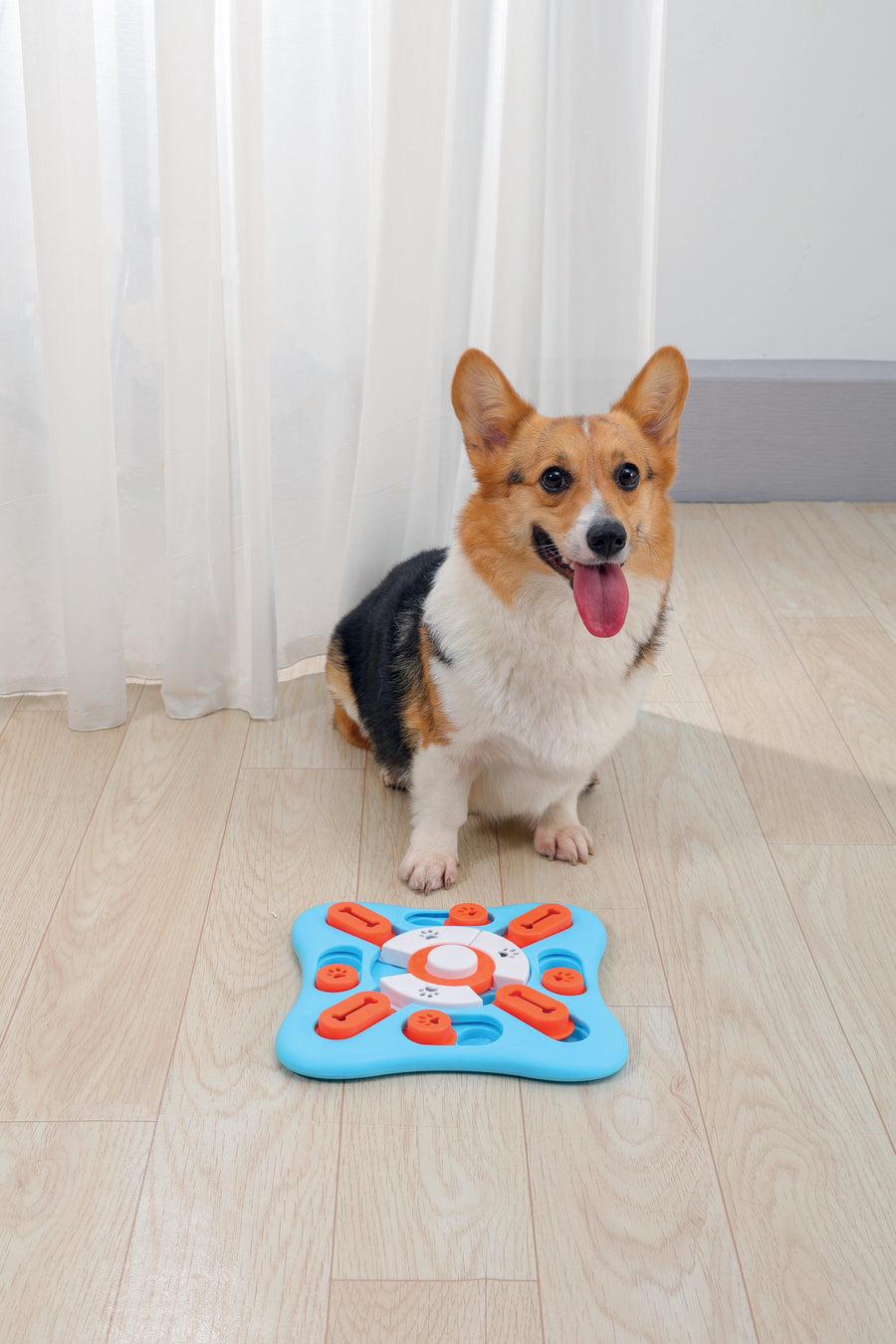 M-pets Copernic Brainy Game for Dogs