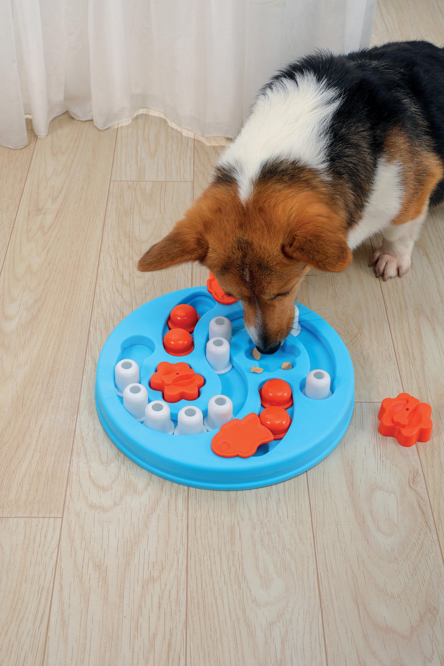 M-pets Einstein Brainy Game