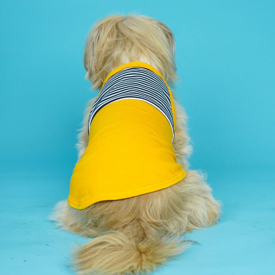 Pets Way Taxi Fetch Vest for Dogs