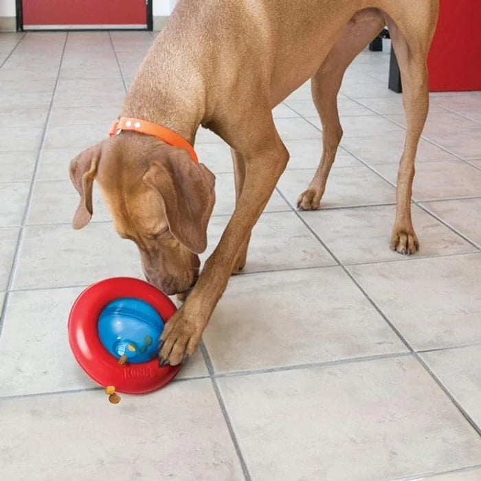 Kong Gyro Dog Toy