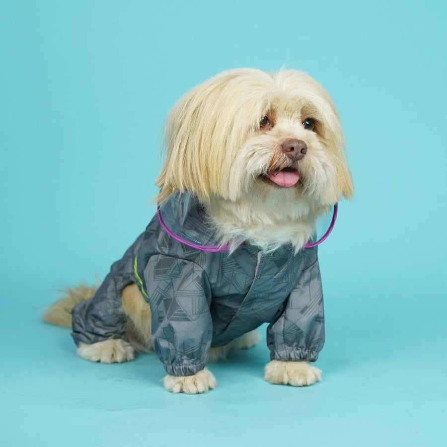 Pets Way Dog Raincoat Furcast Dust for Dogs