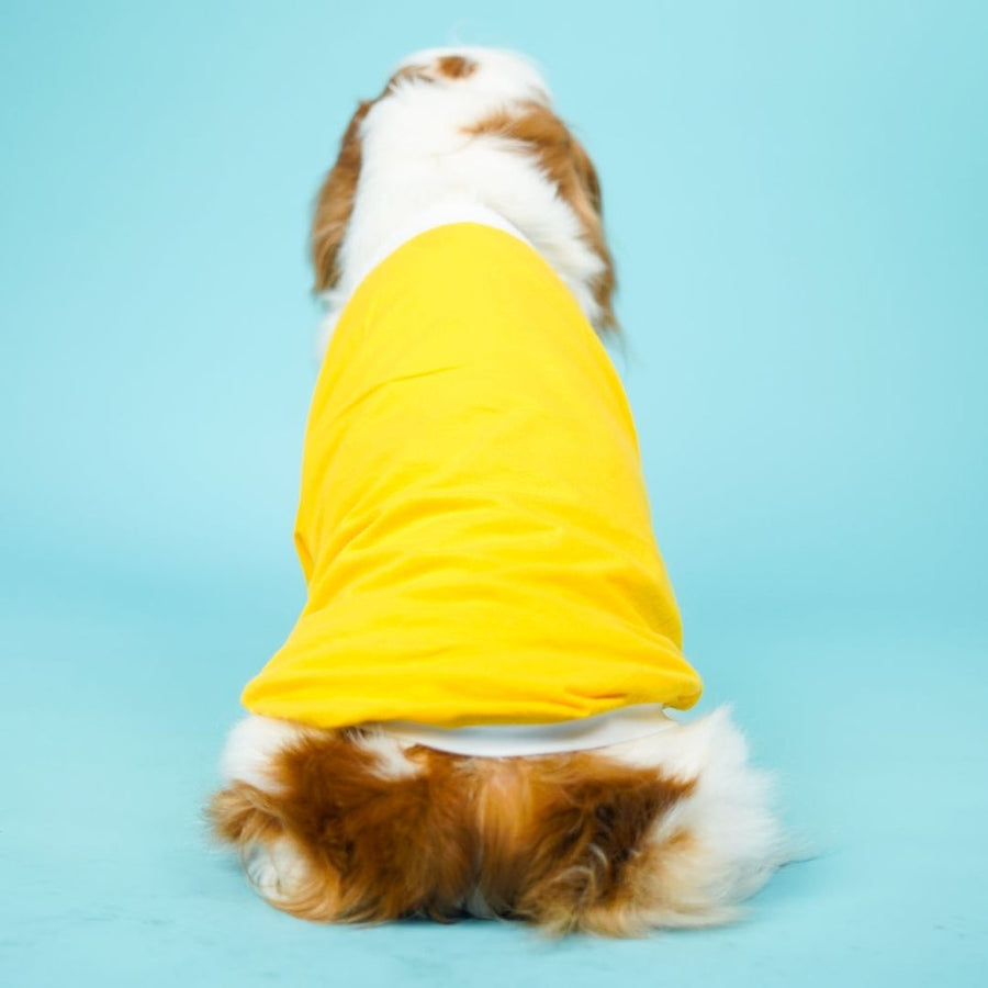 Pets Way Dive In Stripes Yellow T-Shirt for Dogs