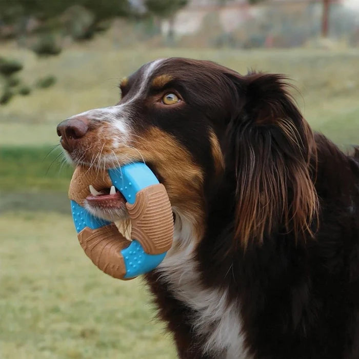 Kong Core Strength Bamboo Ring Long Dog Chew Toy