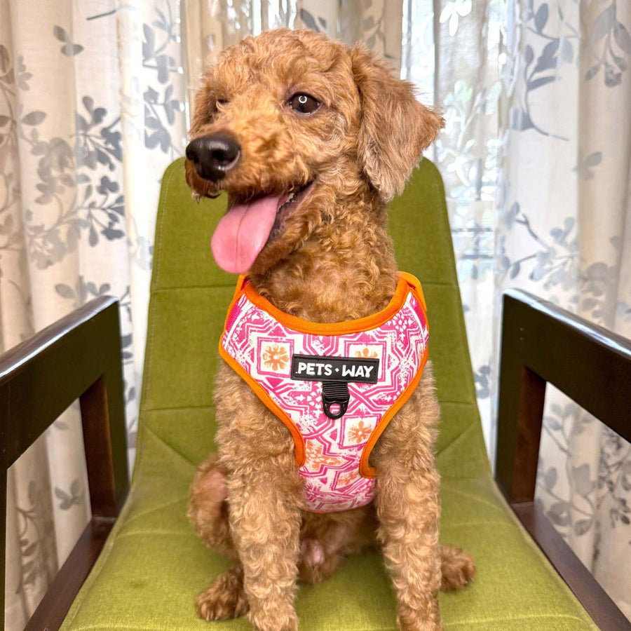 Pets Way Vest Harness For Dogs