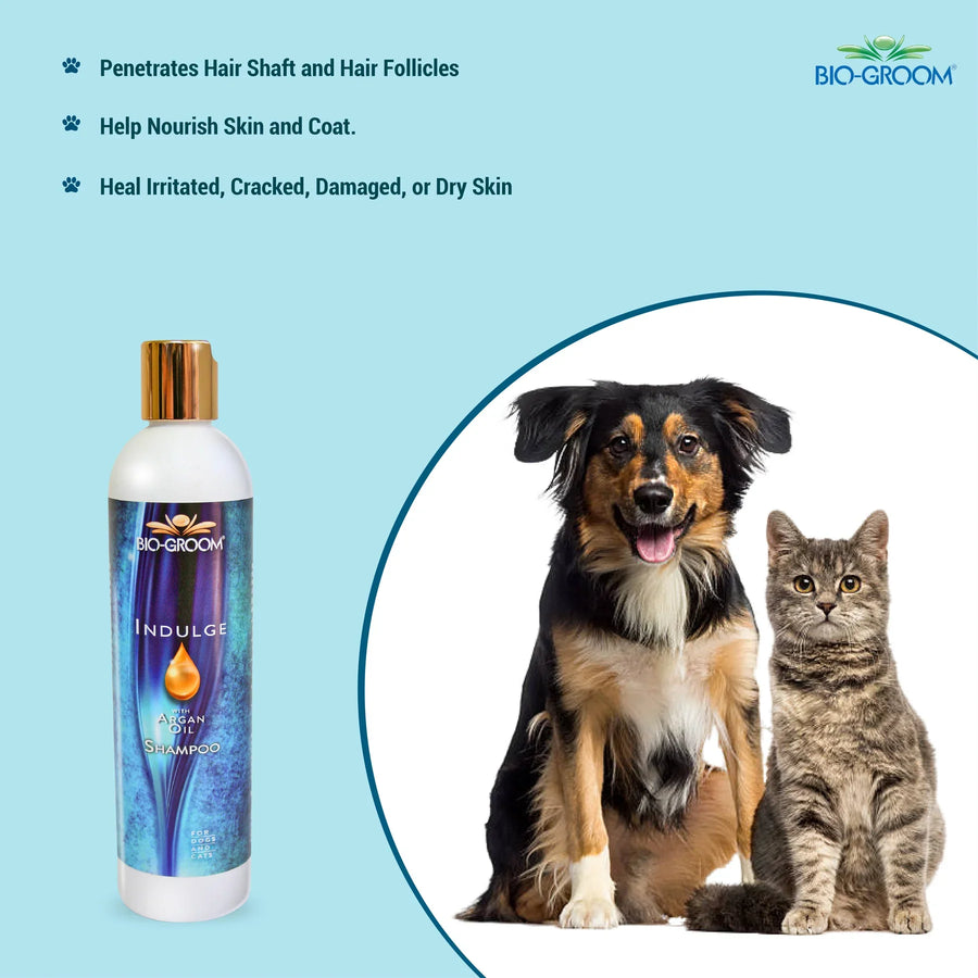 Bio Groom Indulge Sulfate Free Pure Argan Oil Shampoo for Dogs