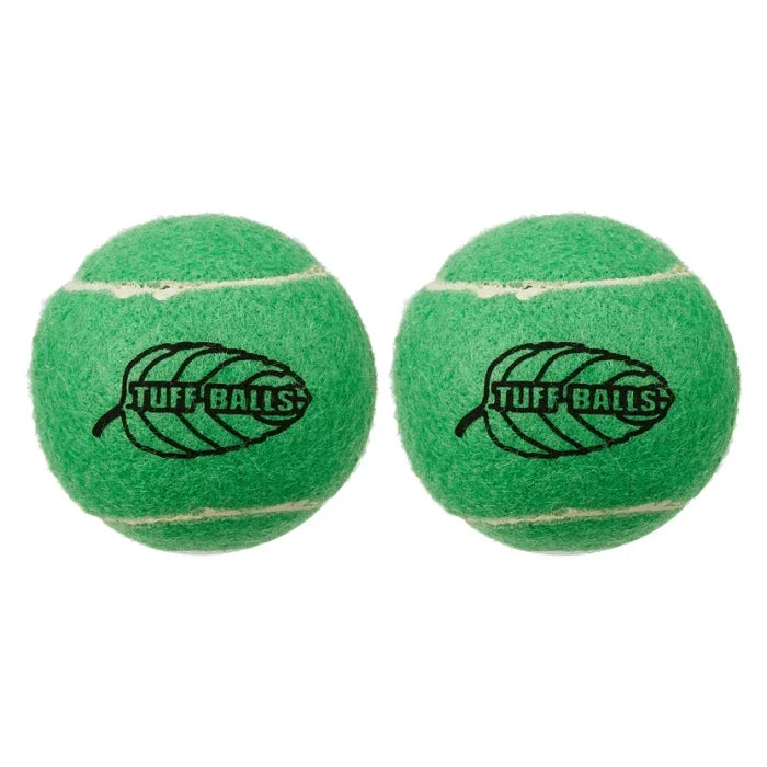 Petsport Tuff Balls Mint Dog Toy