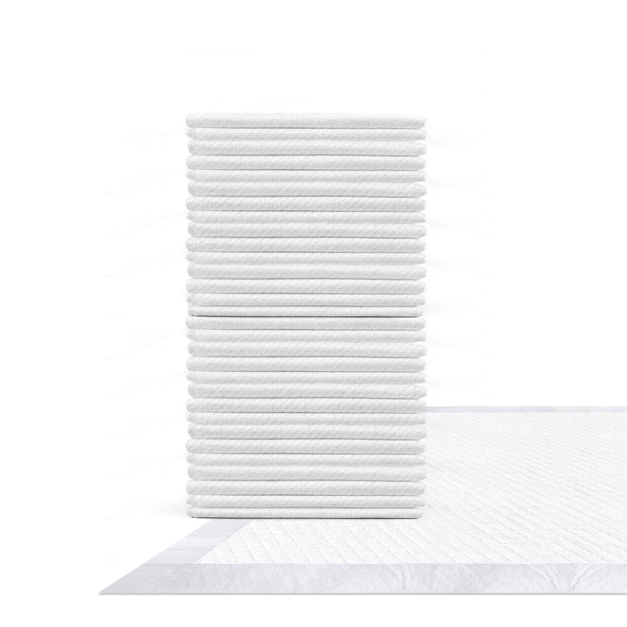 Fofos Training Pad 30pcs For Dogs