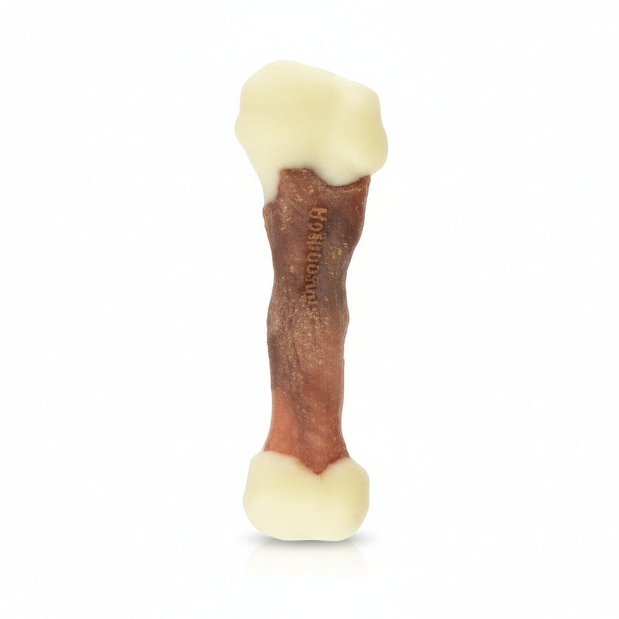 Nylabone Femur Bone Power Chew Durable Dog Toy Femur Beef