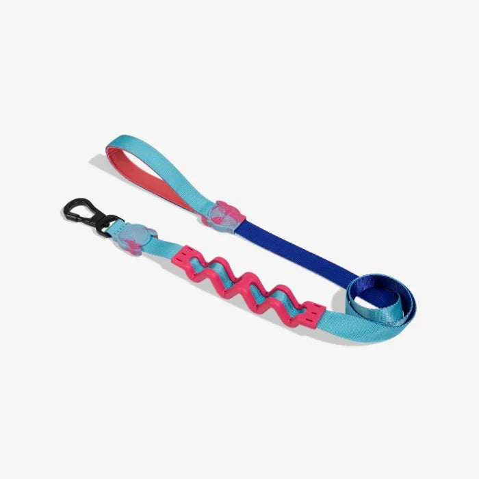 Zee Dog Hydra Ruff Leash for Dogs