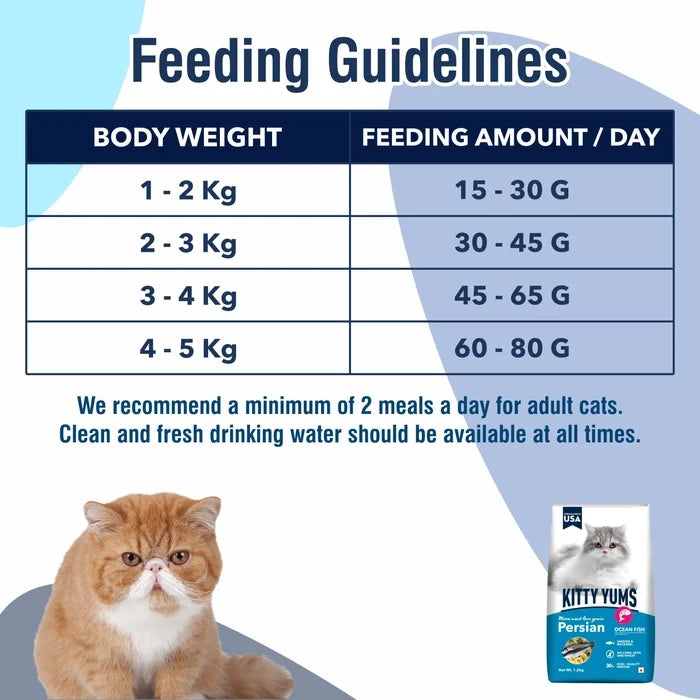 Kitty Yums Persian Ocean Fish Cat Dry Food