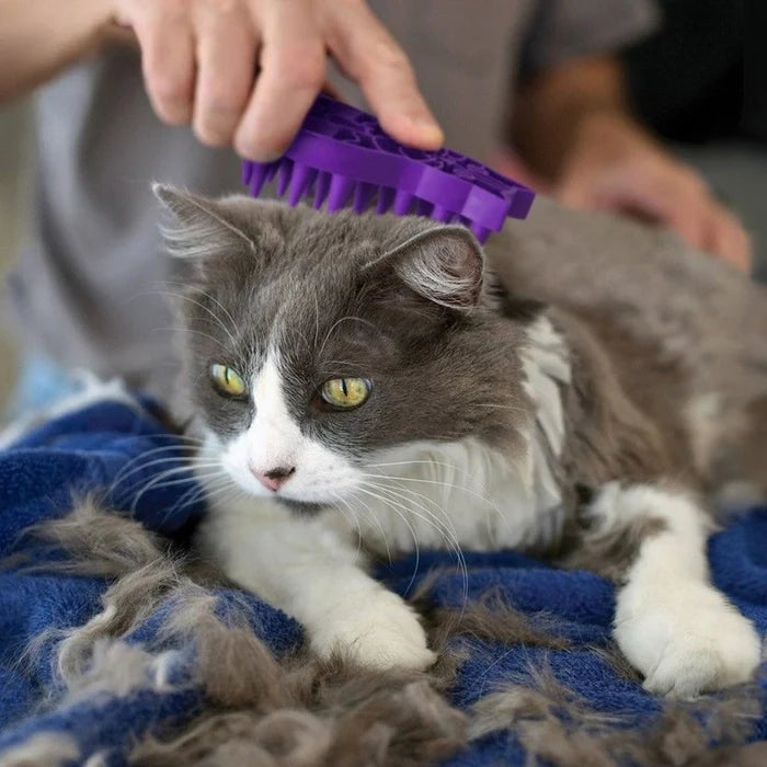 Kong Zoom Groom Bathing Brush for Cats