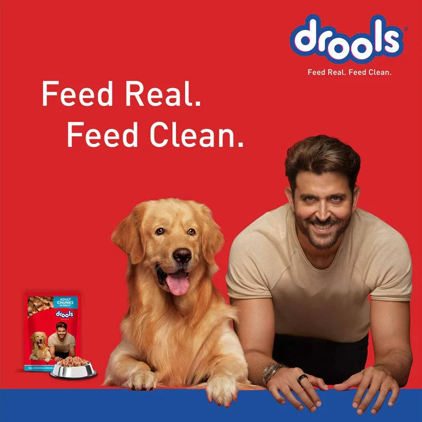 Drools Chicken & Chicken Liver Chunks in Gravy Puppy Wet Food