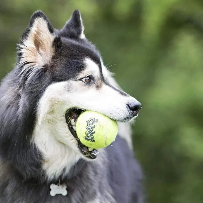 Kong AirDog Squeaker Tennis Ball Dog Toy