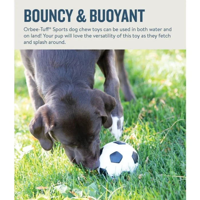 Petstages Orbee Tuff Soccer Ball for Dogs