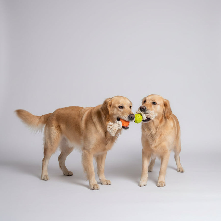 Duvoplus Eco Rubber Ball Bamboo/Rice Cotton Dog Toy