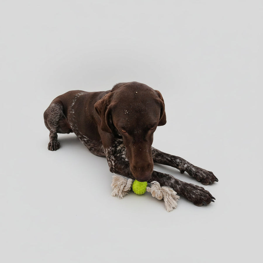 Duvoplus Eco Rubber Ball Bamboo/Rice Cotton Dog Toy