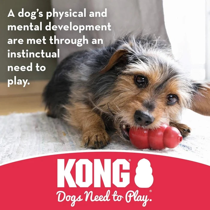 Kong Stuff A Ball Dog Toy