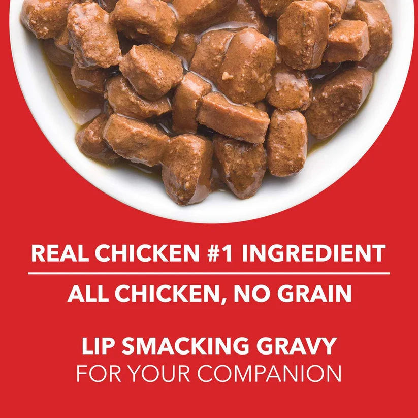 Drools Chicken & Chicken Liver Chunks in Gravy Puppy Wet Food