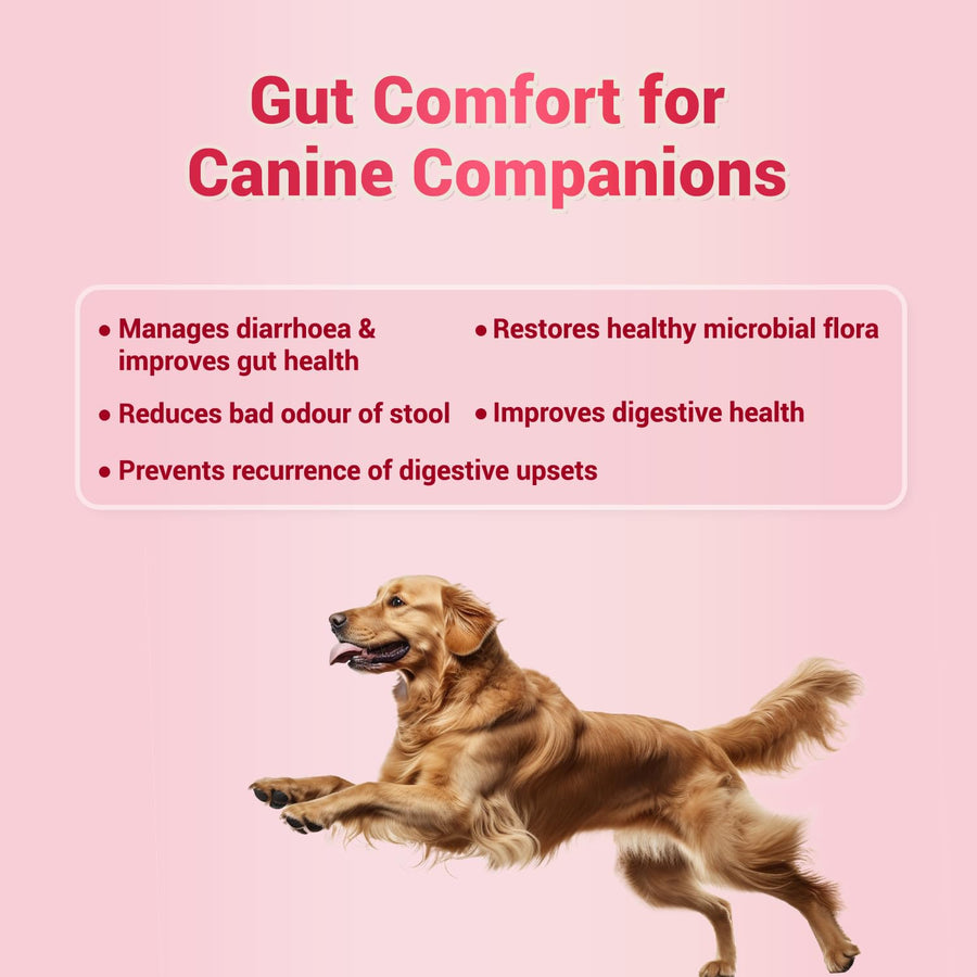 Naturals Remedies Natgut Tablets for Dogs & Cats
