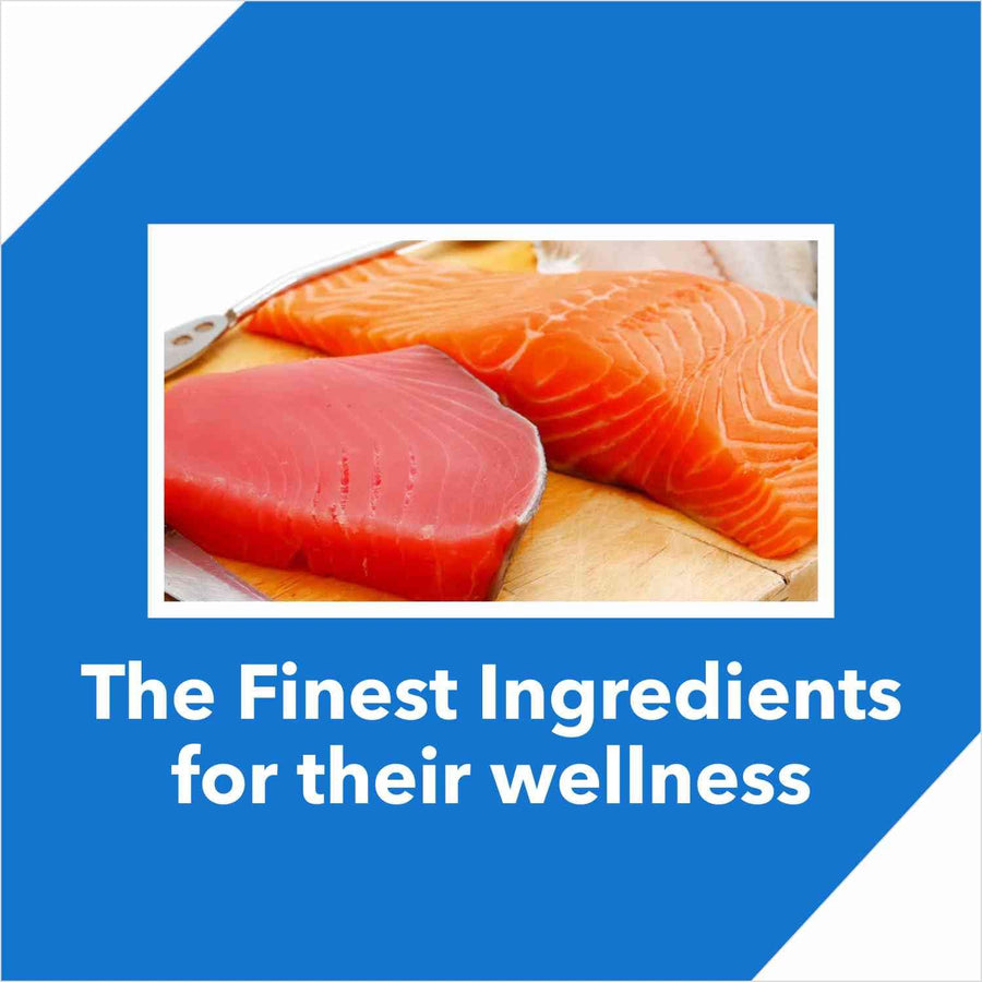 Drools Tuna and Salmon Flavor Adult Cat Dry Food
