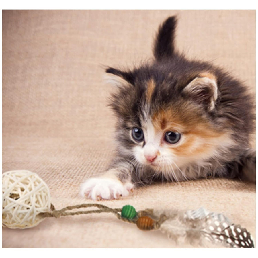 Gigwi Eco Line Catch Scratch Toy for Cats