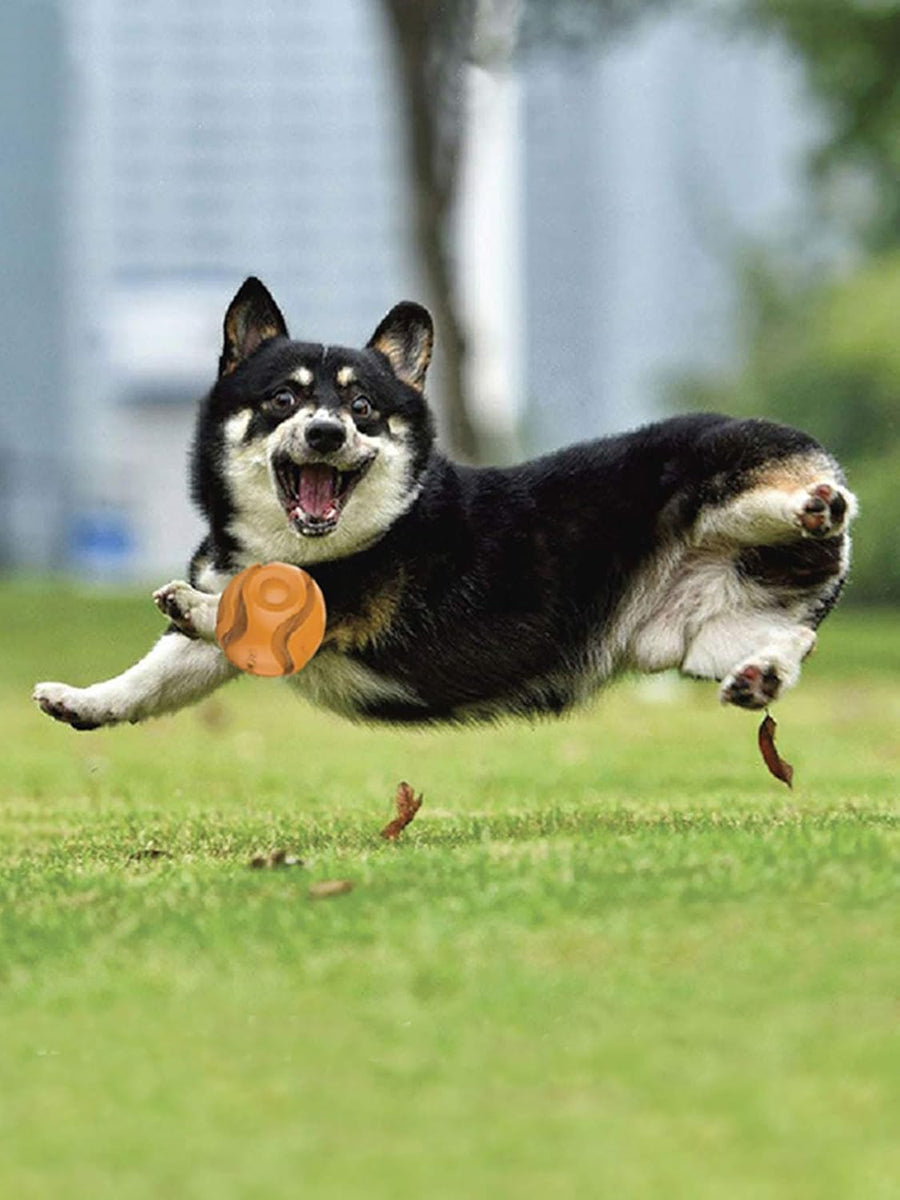 GiGwi G Foamer Ball Dog Toy