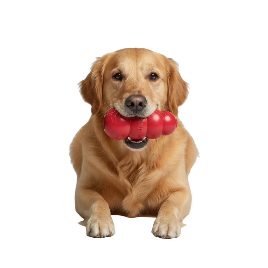 Kong Classic Dog Toy