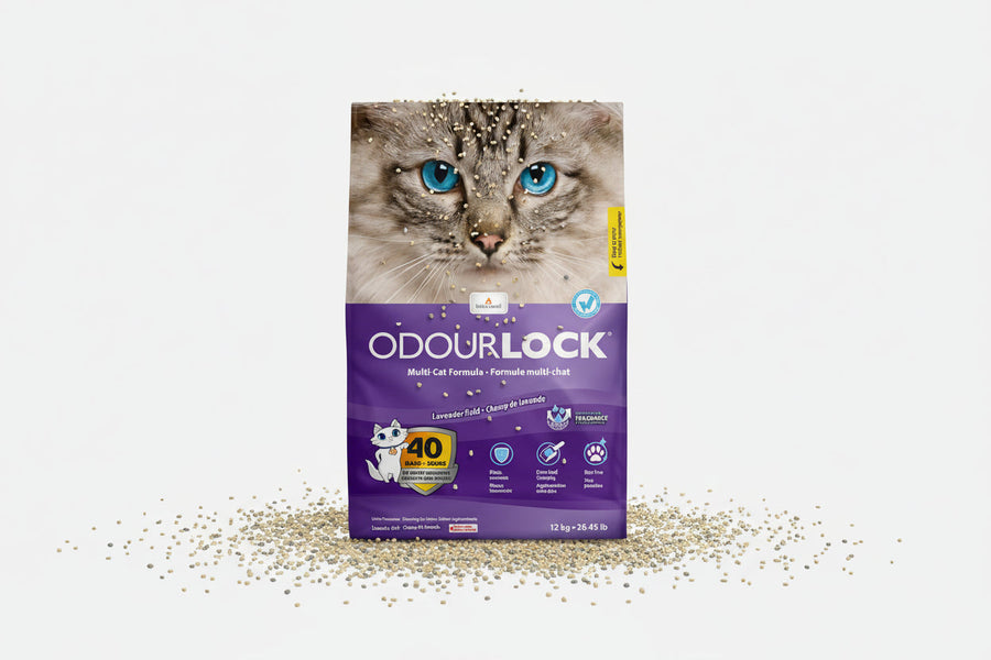 OdourLock Lavender Cat Litter