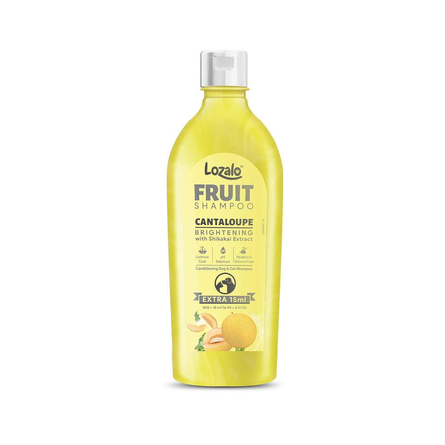Lozalo Fruit Pet Shampoo Cantaloupe