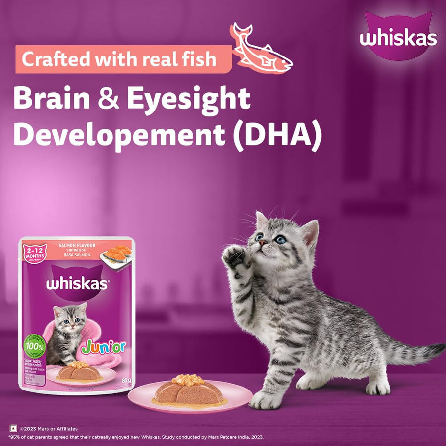 Whiskas Junior Salmon in Jelly Flavour Wet Food