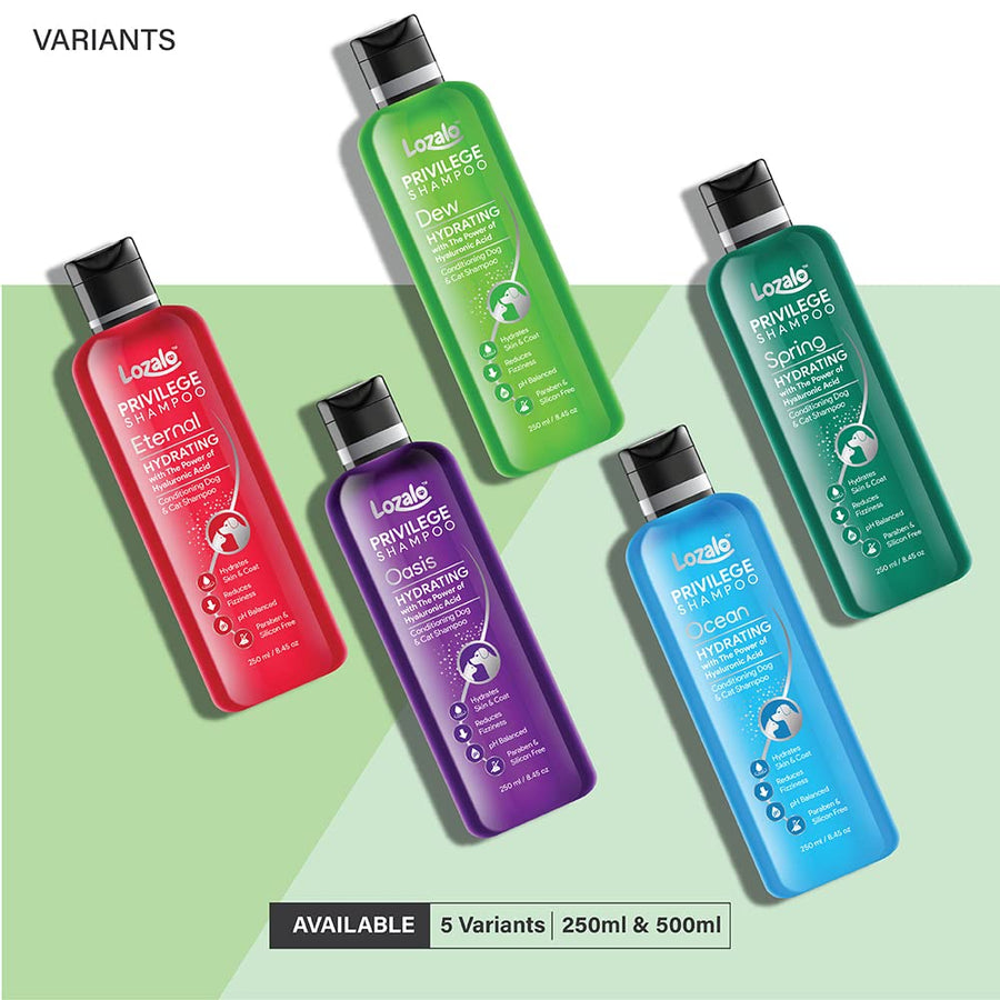 Lozalo Privilege Conditioning Shampoo Dew