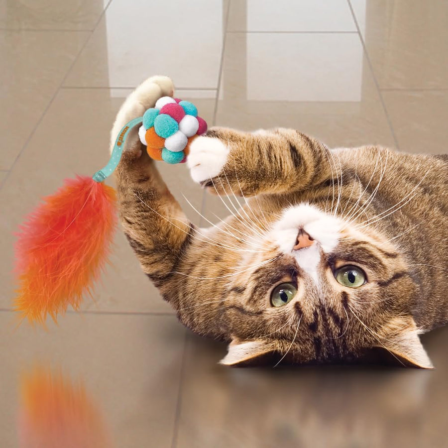 KONG Cat Active Bubble Ball Multi-Sensory Bat and Chase Toy for Cats