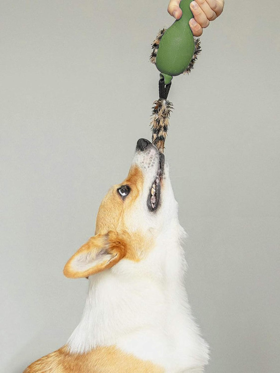 Gigwi Forestails Push To Mute Duck