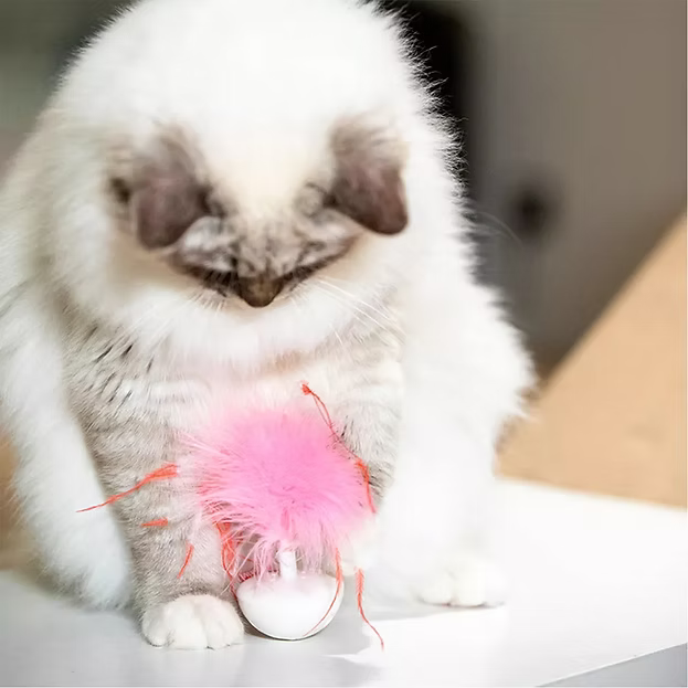 Gigwi Wobble Feather Pet Droid for Cats