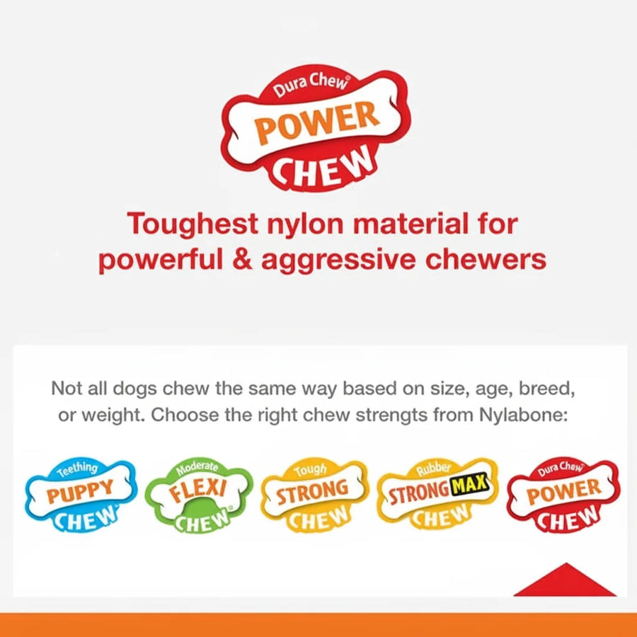 Nylabone Power Chew Flavor Frenzy Bone Triple Pack