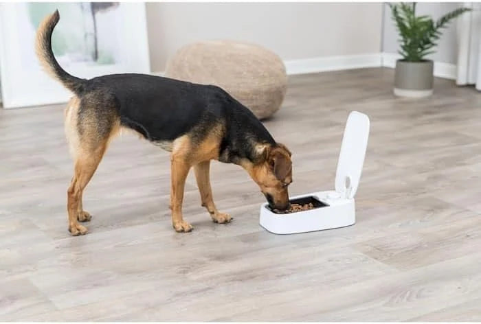 Trixie Automatic Food Dispenser for Small Dog and Cat