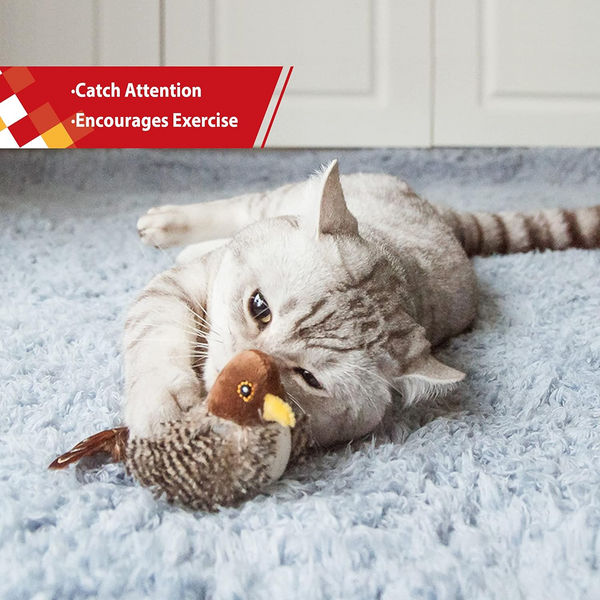 GiGwi Melody Chaser Bird Toy for Cats