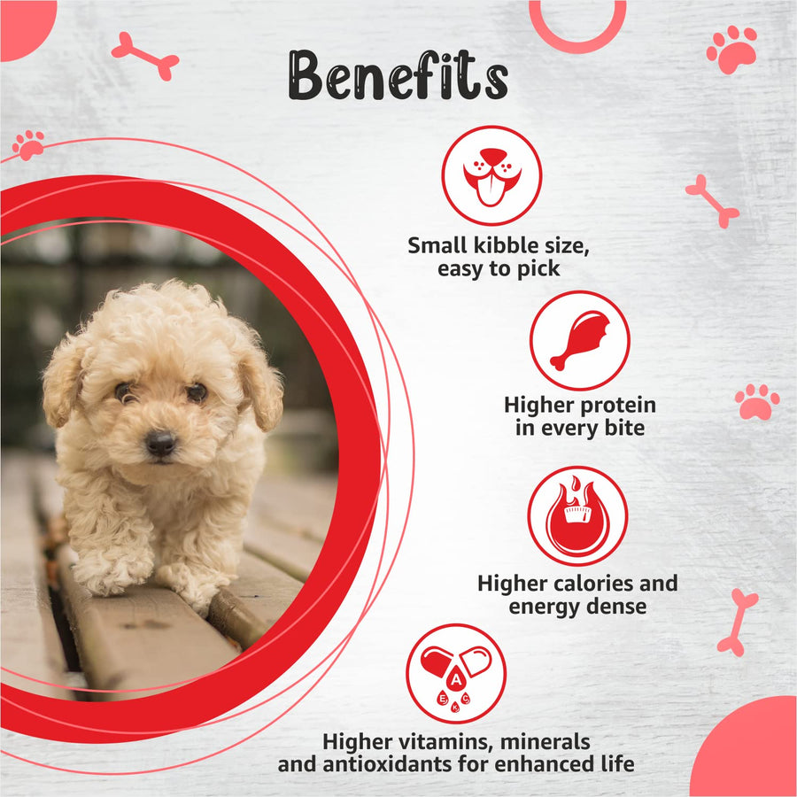 Drools Small Breed Premium Puppy Dry Food