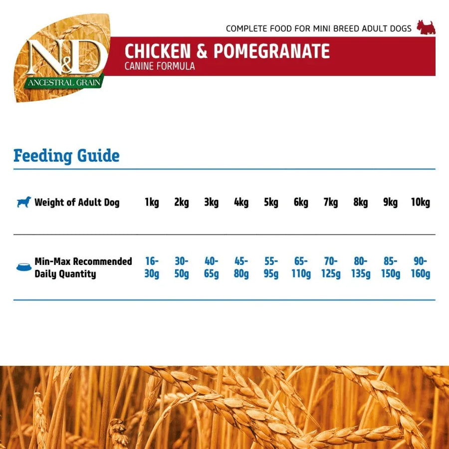 N&D Ancestral Grain Chicken Adult Mini Dog Dry Food