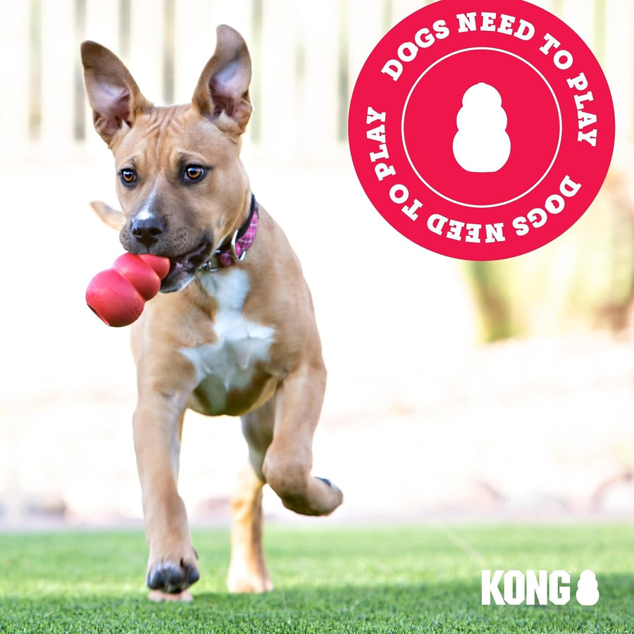 Kong Scrunch Knots Squirrel Plush Toy for Dogs