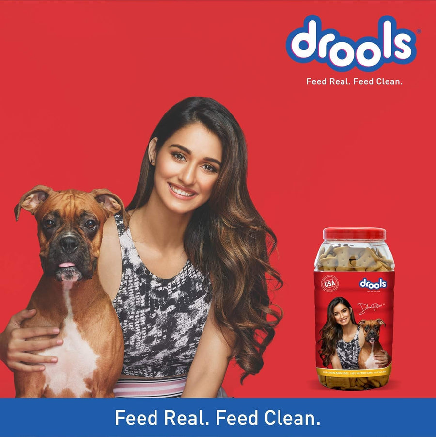 Drools Chicken and Egg Flavor Dog Biscuits