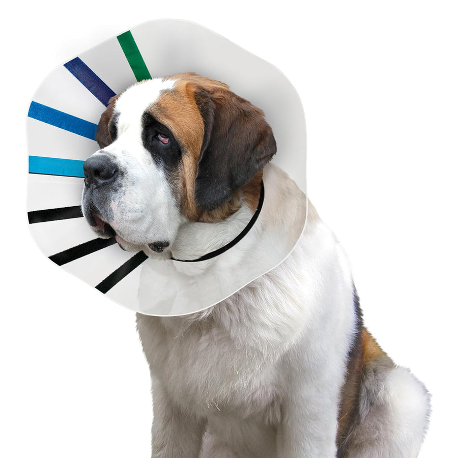 Kong EZ Clear Adjustable Recovery E-Collar for Dogs