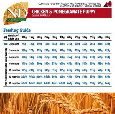 N&D Ancestral Grain Chicken Medium & Maxi Puppy Dog Dry Food
