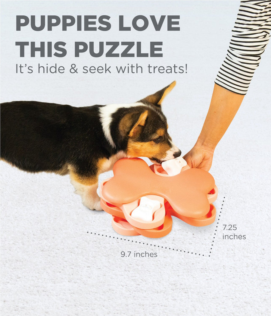 Outward Hound Puppy Tornado Interactive Treat