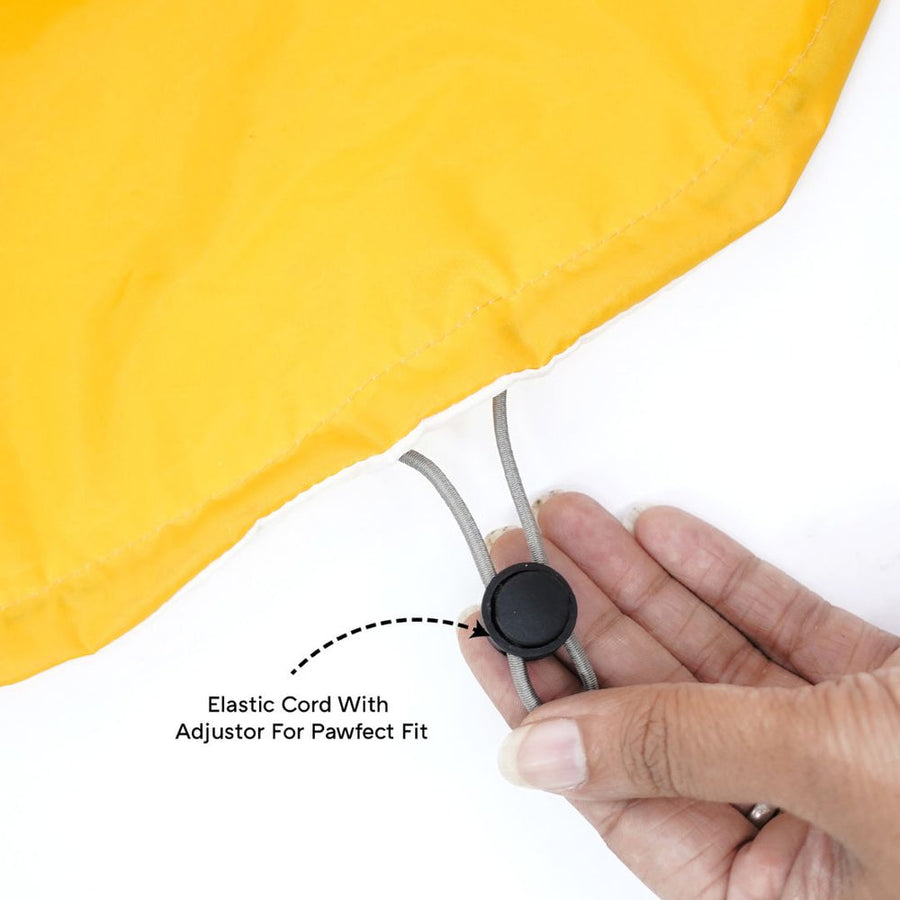 Pets Way Rainstorm Canary Raincoat for Dogs