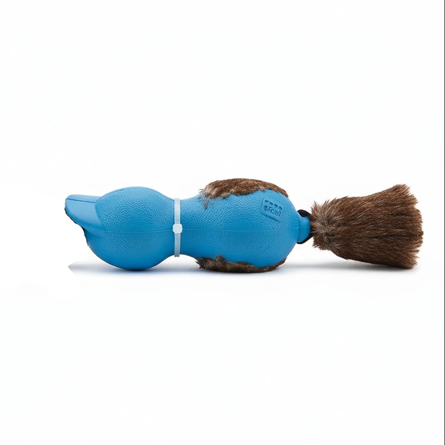 Gigwi Forestails Push To Mute Duck